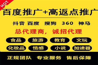 百度移动端广告运营推广案例分析